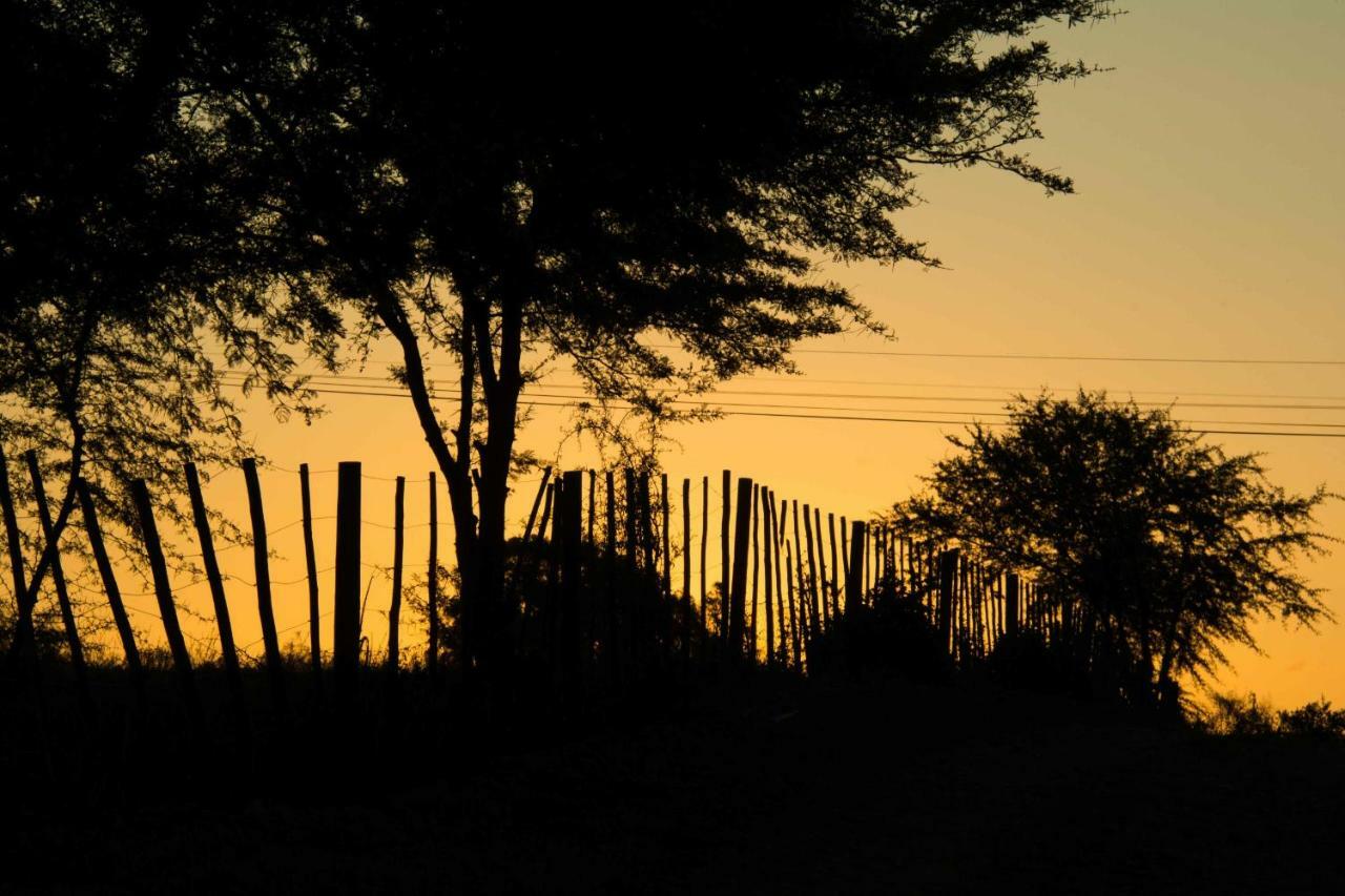 Thabile Lodge Oudtshoorn Exterior foto